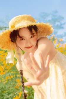 《金瓶风月》